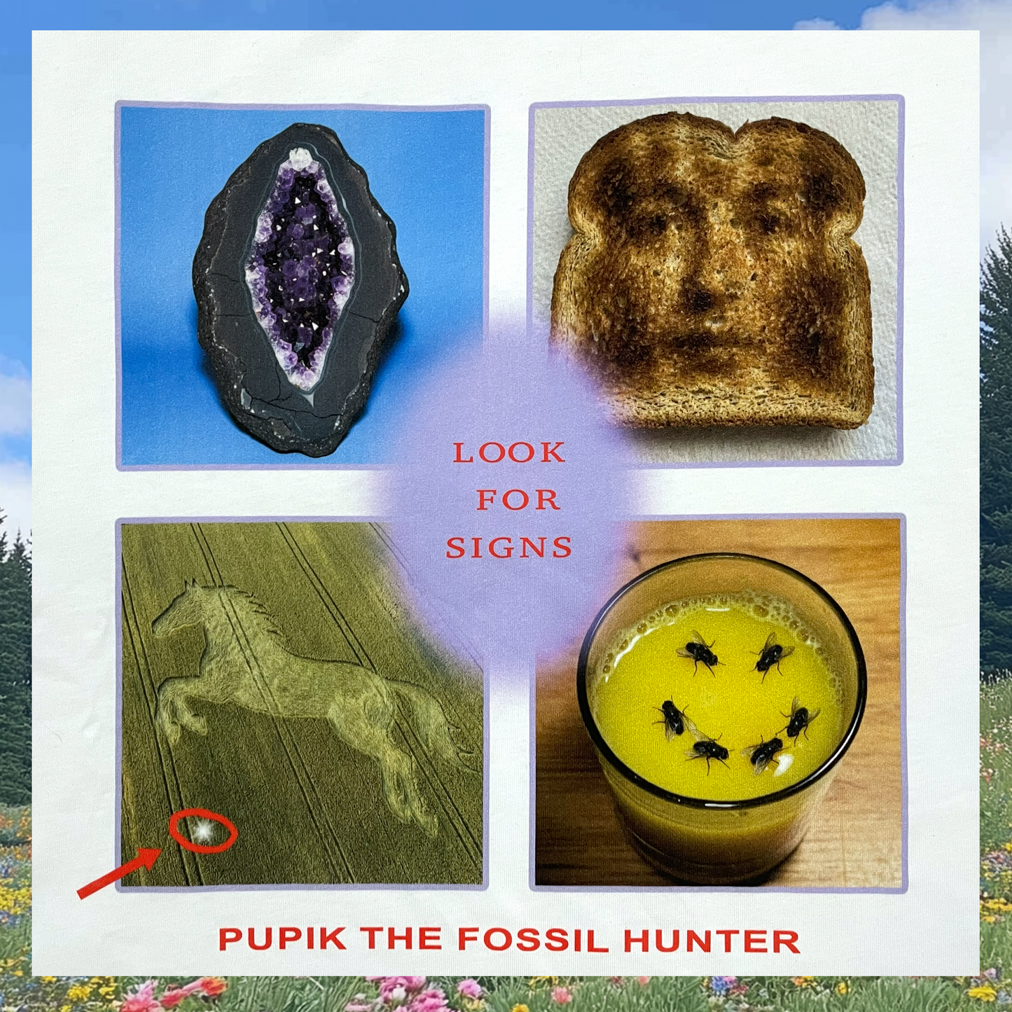 Four images with text and a logo for 'Pupik the Fossil Hunter' on a scenic background.