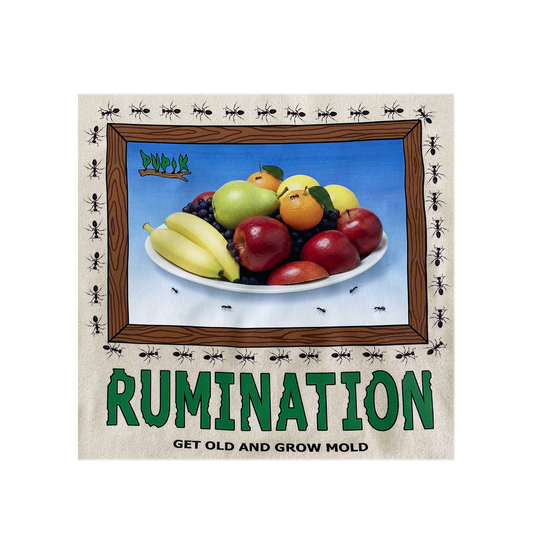 Antibacterial wall帖 with fruit illustration and humorous text on a white background