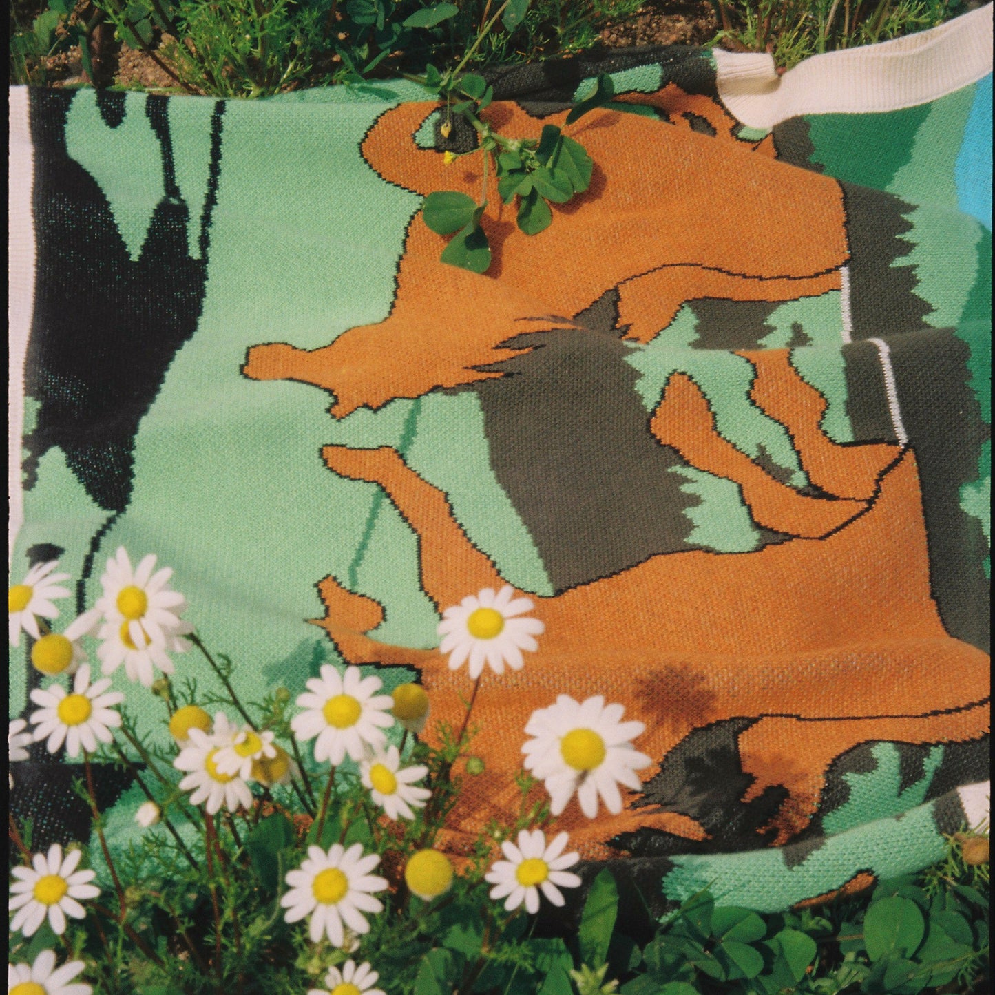 Love Is Fragile Vest