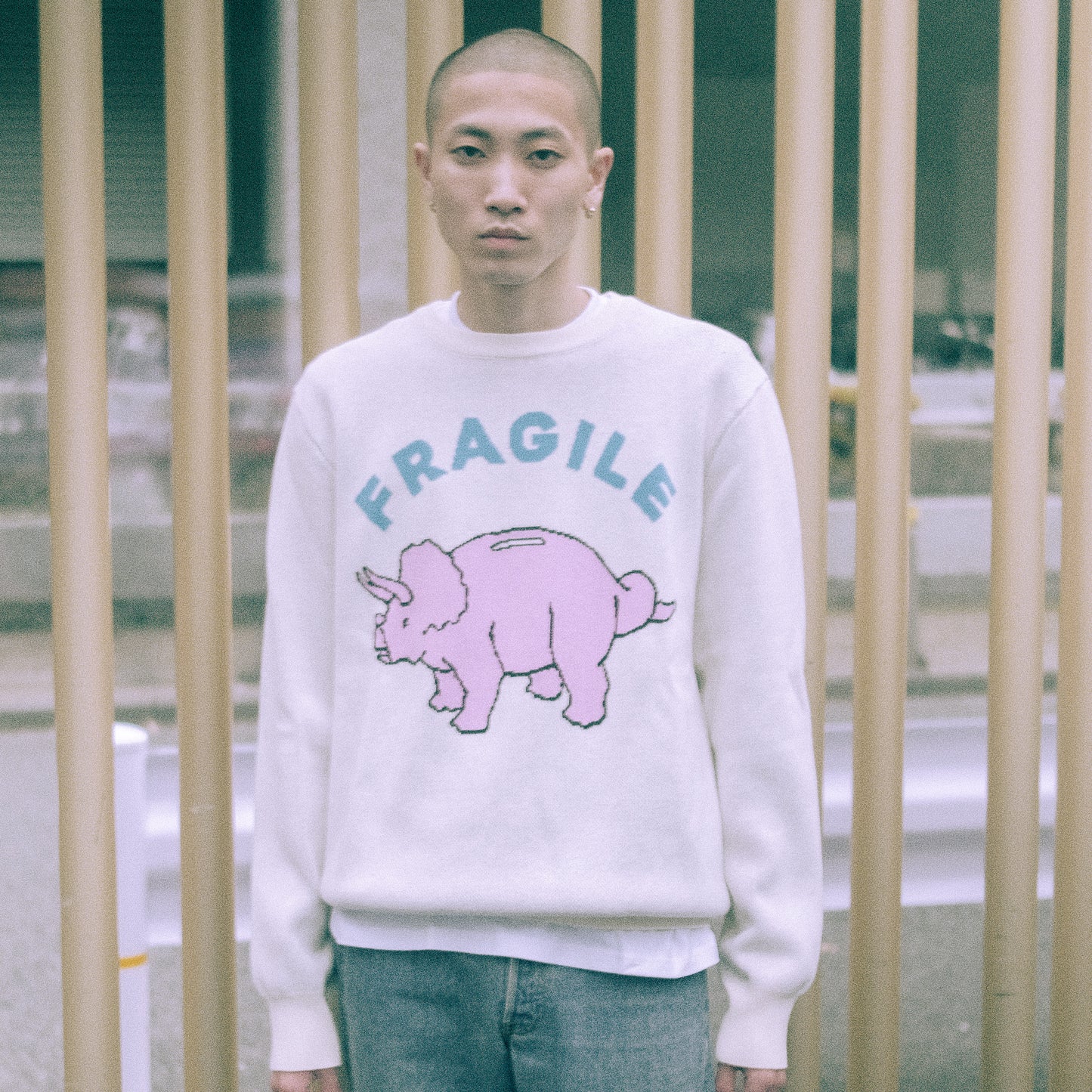 Fragile Knitted Sweater