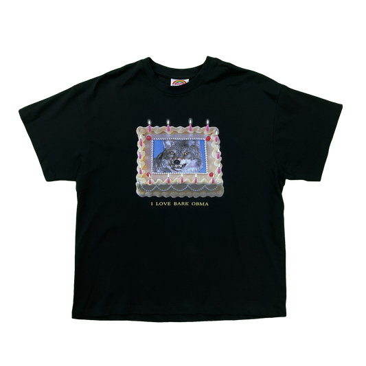 Celebrating Perfection